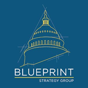 The Blueprint Strategy Group