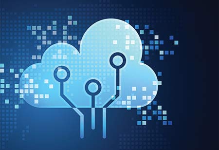 Digital Adoption Challenges in the Government 