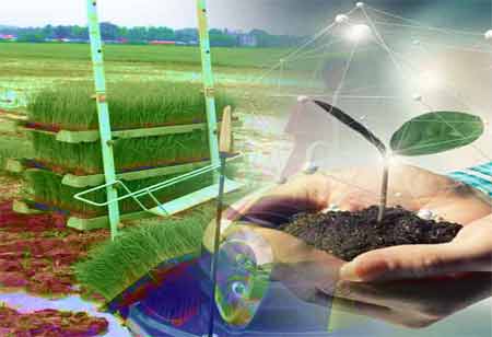 Sustainable Business Practices: A Growing Imperative in Canada