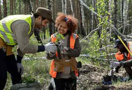 The Importance of Ecological Restoration Efforts in Slowing Degradation