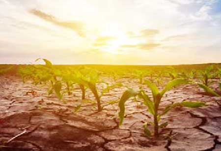 Marta Segura, Chief Heat and Climate Emergency Mobilization Officer, City of Los Angeles | Gov Business Review